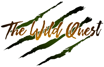 the-wild-quest-logo