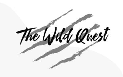 The Wild Quest