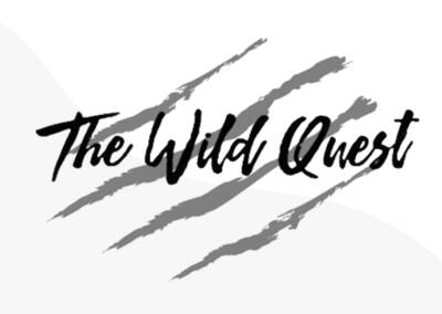 The Wild Quest